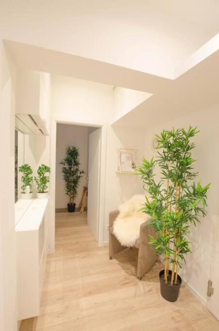 Casarina - Gemuetliches Apartment Im Zentrum 奥格斯堡 外观 照片